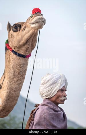 Kamelhändler, Kamelmesse Pushkar Stockfoto