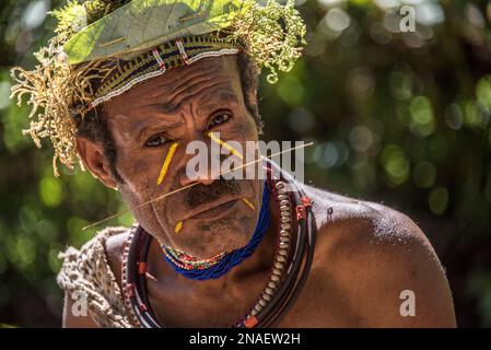 Mitglied des Huli-Stammes im Tari-Tal in den südlichen Highlands von Papua-Neuguinea. Stockfoto