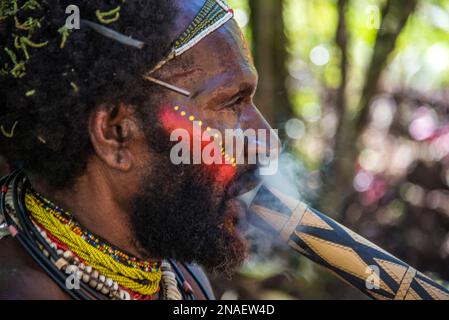 Mitglied des Huli-Stammes, das im Tari-Tal in den südlichen Highlands von Papua-Neuguinea raucht. Stockfoto