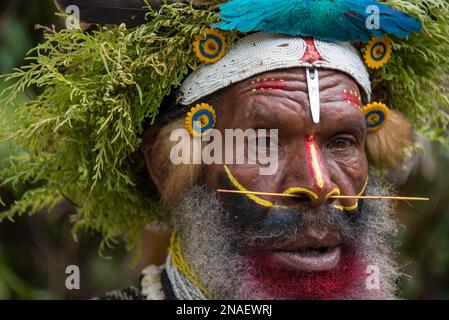 Stammesmann einer Huli-Gemeinde im Tari-Tal im südlichen Hochland Papua-Neuguineas; Tigibi, südliches Hochland, Papua-Neuguinea Stockfoto