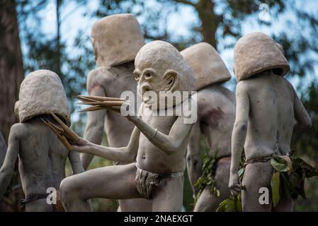 Die Mudmen von Papua-Neuguinea sind diejenigen, die ein traditionelles Kostüm um Schlammmasken herum tragen. Die sind aus der Provinz Chguga im Westen Stockfoto