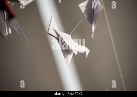 Japanische gefaltete Origami-Kräne, die mit Saiten hängen. Hunderte handgemachte Papiervögel, isoliert mit Kopierraum. 1000 Tsunu-Skulptur des Krans Stockfoto