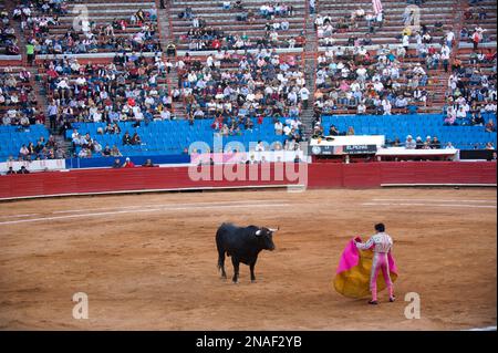 Bei einem Stierkampf in Mexiko-Stadt beobachten die Zuschauer den Stier und Matador; Mexiko-Stadt, Mexiko Stockfoto