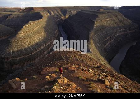 Ein einsamer Wanderer blickt auf die Berge und den San Juan River in Utah, genannt „Goosenecks of the San Juan River“; Utah, Vereinigte Staaten von Amerika Stockfoto