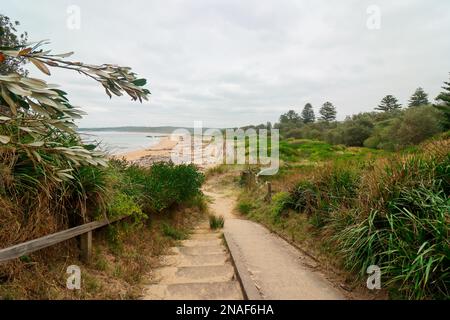 Zu Fuß zum Main Beach Tuross Head Stockfoto