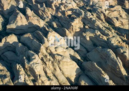 Ein kleines Flugzeug fliegt über dem Canyonlands-Nationalpark, Utah, USA Stockfoto