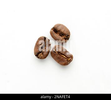 Nicaragua Catimor hat Kaffeebohnen gewaschen Stockfoto