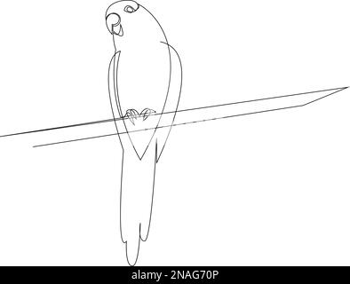 Eine Strichzeichnung eines Papageiensittiong auf einem Ast. Handgezeichneter Minimalismus-Stil. Vektordarstellung Stock Vektor
