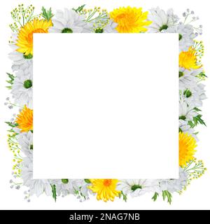 Handgezeichneter quadratischer Rahmen mit weißem und gelbem Chrysanthemum und farbigen Zigeunern? Ein kleiner Teil der großen BLUME Stockfoto