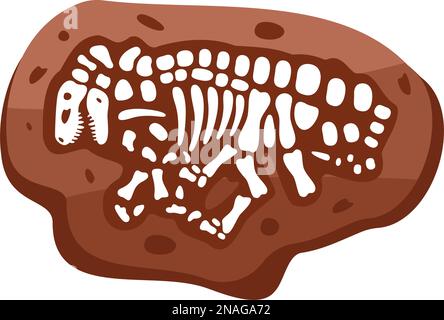 Velociraptor Fossils Skelett. Velociraptor-Fossilienknochen. Dinosaurierskelett. Dinosaurierknochen mit Schädel. Paläontologie und Archäologie. Stock Vektor