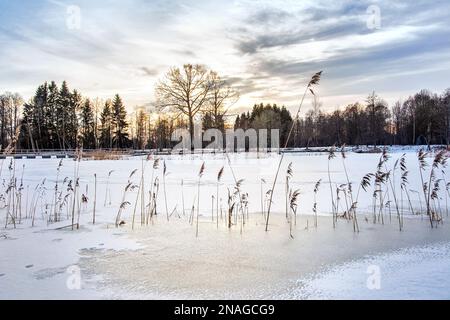 Kirkilai-Seen im Winter.Litauen Stockfoto