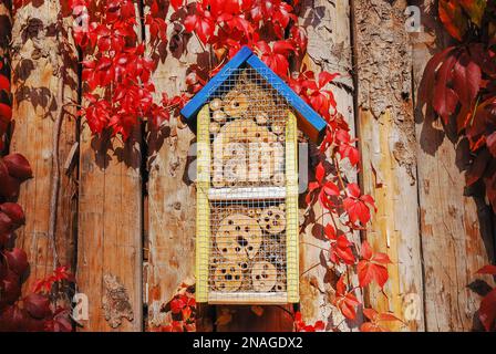 Insektenhaus, Bienenhotel, Insektenheim. Holzstruktur an einer Holzwand, Herbstblätter im Hintergrund. Bauwesen - Insektenschutz. Stockfoto