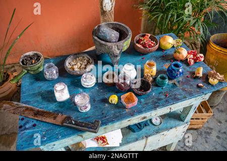 Demonstration der Quelle natürlicher Pigmente zur Malerei von Alebrijes in einer Werkstatt in San Martin Tilcajete, Oaxaca, Mexiko. Stockfoto