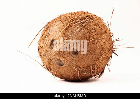 Gesamtes natürliches Kokosnuss, isoliert auf weißem Hintergrund Stockfoto