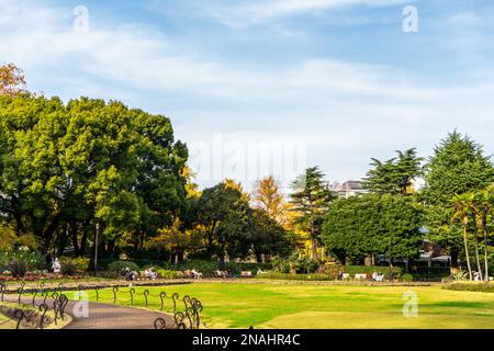 Hibiya Park, Tokio. (November 2022) Stockfoto