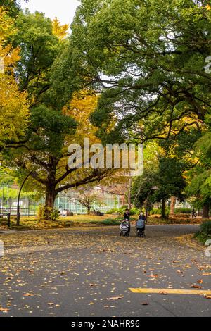 Hibiya Park, Tokio. (November 2022) Stockfoto