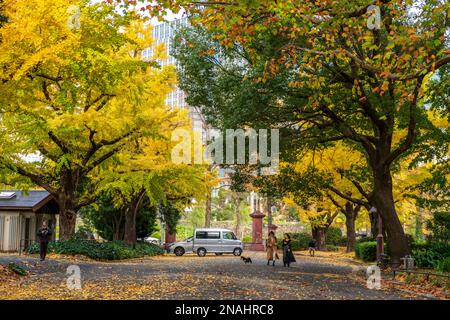 Hibiya Park, Tokio. (November 2022) Stockfoto