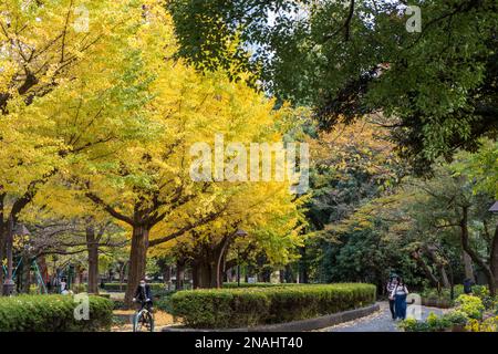 Hibiya Park, Tokio. (November 2022) Stockfoto