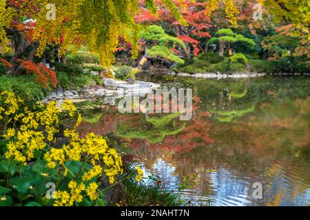 Hibiya Park, Tokio. (November 2022) Stockfoto