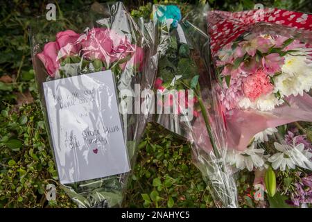 Die geblümten Tribut wurden am Tatort im Culcheth Linear Park in Warrington, Cheshire, nach dem Tod von Brianna Ghey, 16, die von Mitgliedern der Öffentlichkeit gefunden wurde, als sie am Samstag verwundet auf einem Pfad im Park lag. Ein Junge und ein Mädchen, beide 15 Jahre alt, wurden verhaftet, wegen Mordverdachts nach der tödlichen Stichverletzung. Foto: Montag, 13. Februar 2023. Stockfoto