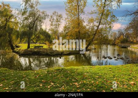 Herbst in Lettland, Stadtpark in der Stadt Cesis im nördlichen Teil des zentralen Vidzeme-Uplands. Stockfoto