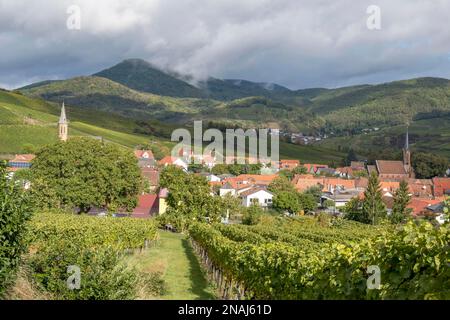 Blick auf das Dorf Birkweiler, Deutsche oder südliche Weinstraße, Südpfalz, Pfalz, Rheinland-Pfalz, Deutschland Stockfoto