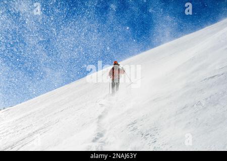 Schneewanderer, die während eines Schneesturms auf Schnee wandern, im Ordesa Natural Park, Pyrenäen Spanien Stockfoto