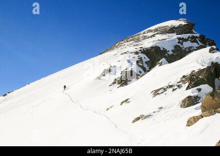 An einem sonnigen Tag im Ordesa Natural Park in den Pyrenäen, Spanien, gibt es im Schnee zahlreiche Fußspuren zu entdecken Stockfoto