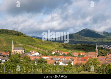 Blick auf das Dorf Birkweiler, Deutsche oder südliche Weinstraße, Südpfalz, Pfalz, Rheinland-Pfalz, Deutschland Stockfoto