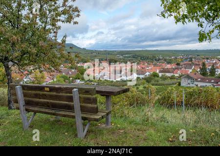 In den Weinbergen über Birkweiler, Südpfalz Stockfoto