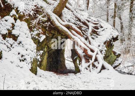 Felsdurch Fernwanderweg Selketalstieg Stockfoto