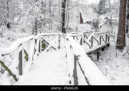 Birnenteich Harz im Winter Stockfoto