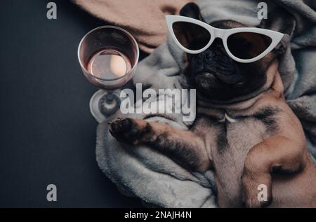 Lustige französische Bulldogge liegt auf dem Sofa mit Sonnenbrille Stockfoto