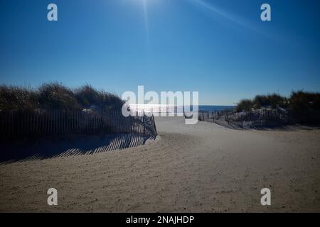 Wandern Sie im Winter durch die Dünen an einem Long Island Beach in New York Stockfoto