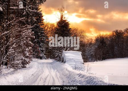 Sonnenuntergang im Winterwald Selketal Harz Stockfoto
