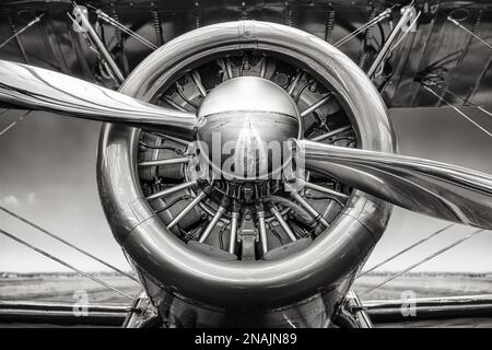 Radialmotor eines historischen Flugzeugs Stockfoto