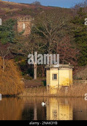 Duddingston, Edinburgh, Schottland, Großbritannien. 13. Februar 2023 Willkommen im Februar nach einer bewölkten Woche mit einer Morgentemperatur von 2 Grad Celsius, die sich bis zur Mittagszeit auf 9 Grad erwärmt. Im Bild: Der Stumme Swan gleitet entlang des Duddingston Loch mit dem historischen Thomson's Tower und Duddingston Kirk im Hintergrund. Kredit: Archwhite/alamy Live News. Stockfoto