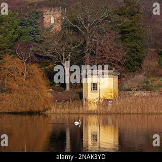 Duddingston, Edinburgh, Schottland, Großbritannien. 13. Februar 2023 Willkommen im Februar nach einer bewölkten Woche mit einer Morgentemperatur von 2 Grad Celsius, die sich bis zur Mittagszeit auf 9 Grad erwärmt. Im Bild: Der Stumme Swan gleitet entlang des Duddingston Loch mit dem historischen Thomson's Tower und Duddingston Kirk im Hintergrund. Kredit: Archwhite/alamy Live News. Stockfoto