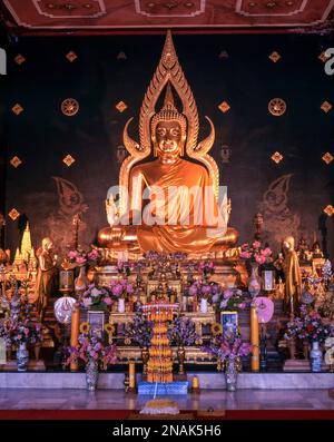 Buddha-Statue im Thai-Tempel in Bodhgaya, Bihar, Indien Stockfoto