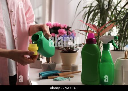 Eine Frau, die Flüssigdünger ausgießt, um sich um die Zimmerpflanzen zu kümmern Stockfoto