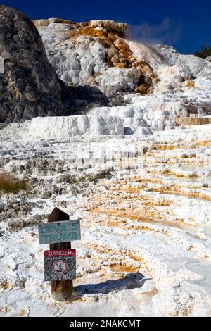 Federn. Teufel Daumen an den Mammoth Hot Springs. Yellowstone-Nationalpark. Wyoming. USA Stockfoto