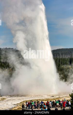 Touristen schauen auf den Geysir Old Faithful. Yellowstone-Nationalpark. Wyoming. USA Stockfoto