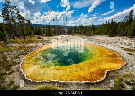 Morgenglorpool im Yellowstone-Nationalpark. Wyoming. USA Stockfoto