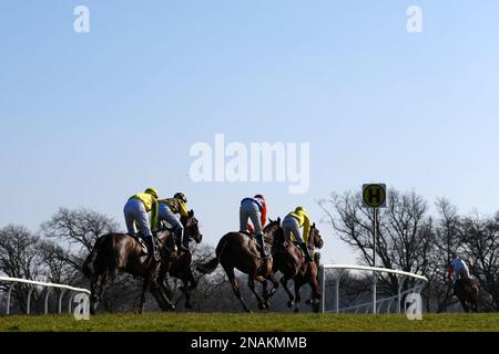 Läufer und Fahrer der LWC Signature Stakes Conditional Jockeys Handicap Hürde auf der Plumpton Racecourse, East Sussex. Foto: Montag, 13. Februar 2023. Stockfoto