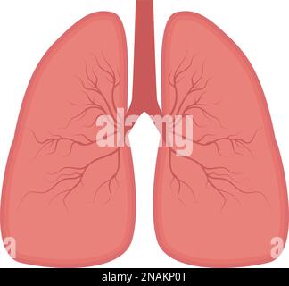 Lungs-Symbol, flacher Stil. Innere Organe des menschlichen Designelements, Logo. Anatomie, Medizin Konzept. Gesundheitswesen. Isoliert auf weißem Hintergrund. Stock Vektor