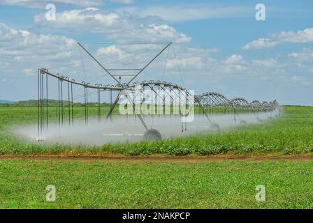 Zentrales Drehbewässerungssystem in Betrieb am 13. November 2011 in Sousa, Paraiba, Brasilien. Brasilianische Landwirtschaft. Stockfoto