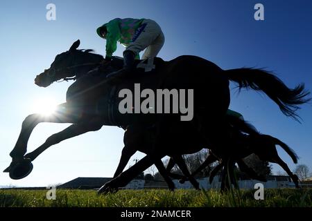 Läufer und Reiter bei der Ellis Wines 201 Year Stakes Handicap Chase auf der Plumpton Racecourse, East Sussex. Foto: Montag, 13. Februar 2023. Stockfoto