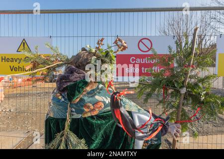 Rochford, Großbritannien. Februar 2023. Vor einer umzäunten Baustelle in Rochford, Essex, steht eine Person in einem grünen Samtkostüm mit Tannenzweigen, Blättern und roten Bändern. Die Gegenüberstellung von festlichen Naturelementen und industriellen Schildern schafft einen auffälligen redaktionellen Kontrast. Bauunternehmer entfernen die 100 Jahre alte Holt Farm-Eiche, um Platz für Straßenverbreiterung und leichteren Zugang zu den nahe gelegenen Wohnsiedlungen von Bloor Homes zu schaffen. Penelope Barritt/Alamy Live News Stockfoto
