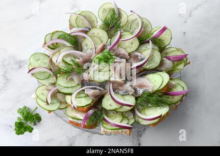 Gesalzener Hering mit Gewürzen, frischer Gurke, Kräutern und Zwiebeln auf einem Teller mit hellem Hintergrund. Eingelegter Fisch mit Brot. Essen mit gesundem Unsat Stockfoto