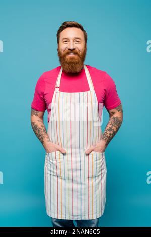 Fröhlicher bärtiger Mann im magentafarbenen T-Shirt posiert mit Händen in Taschen mit gestreifter Schürze isoliert auf blauem Stockbild Stockfoto